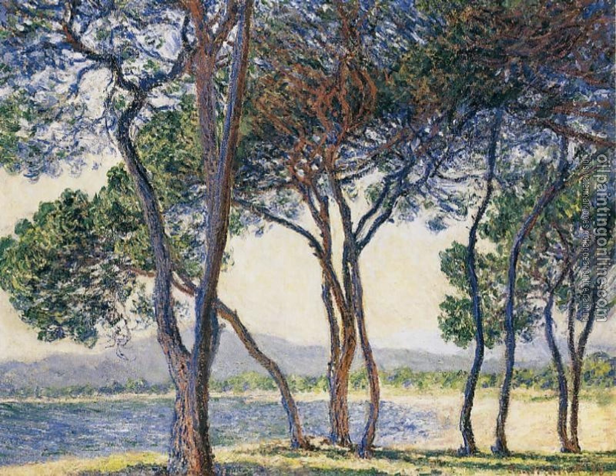 Monet, Claude Oscar - Trees by the Seashore at Antibes